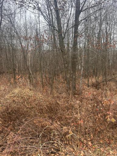 TBD Lake Camile, Randall, MN 56475