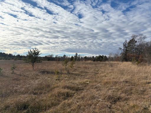 7839 Birchmont Beach Road NE, Bemidji, MN 56601