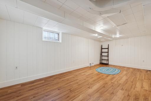 Lower level family room