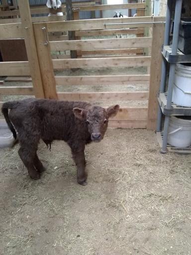 21280 State 92, Bagley, MN 56621