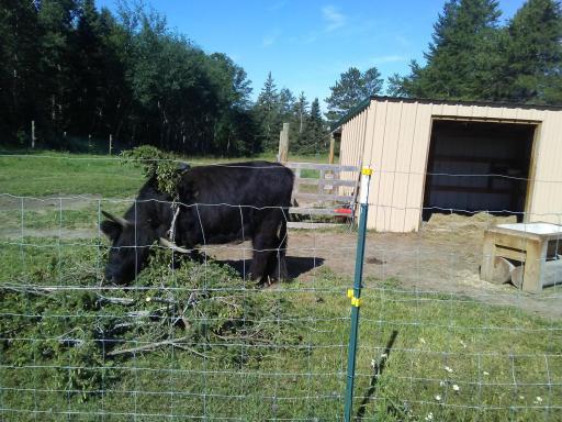 21280 State 92, Bagley, MN 56621