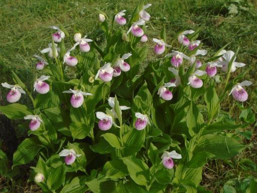 21280 State 92, Bagley, MN 56621