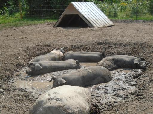 21280 State 92, Bagley, MN 56621