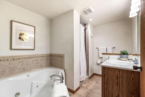 Lower level full bathroom with jacuzzi tub.