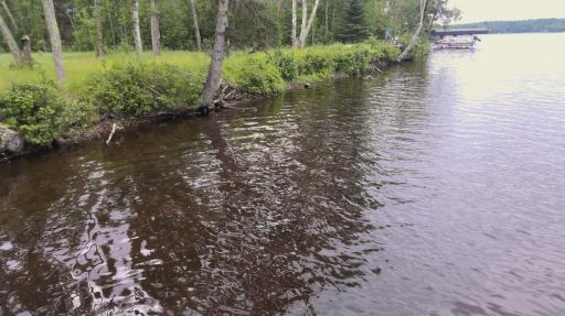 TBD S Shore Drive, Emily, MN 56447