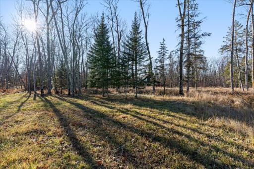 TBD S Shore Drive, Emily, MN 56447