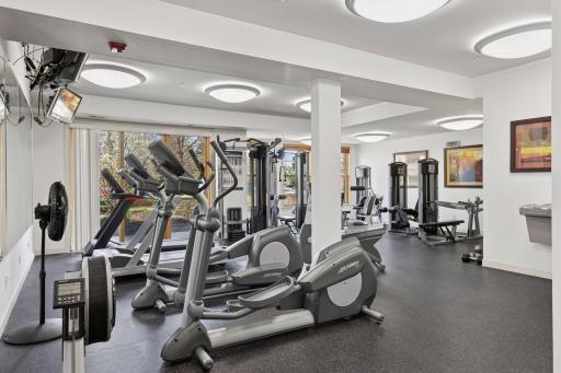 Professional level work out space.