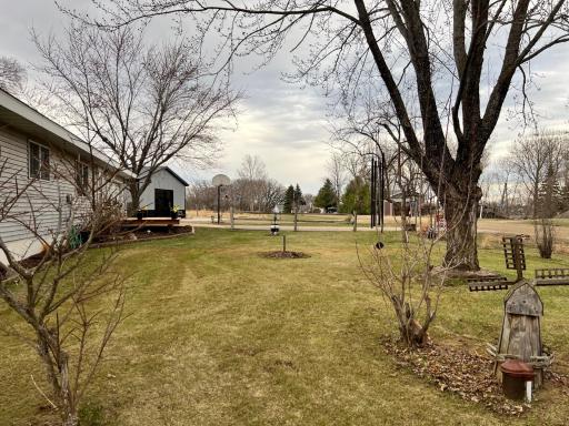 Front yard