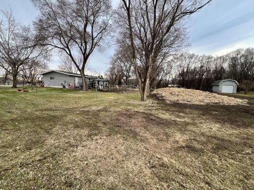 Back and side yard