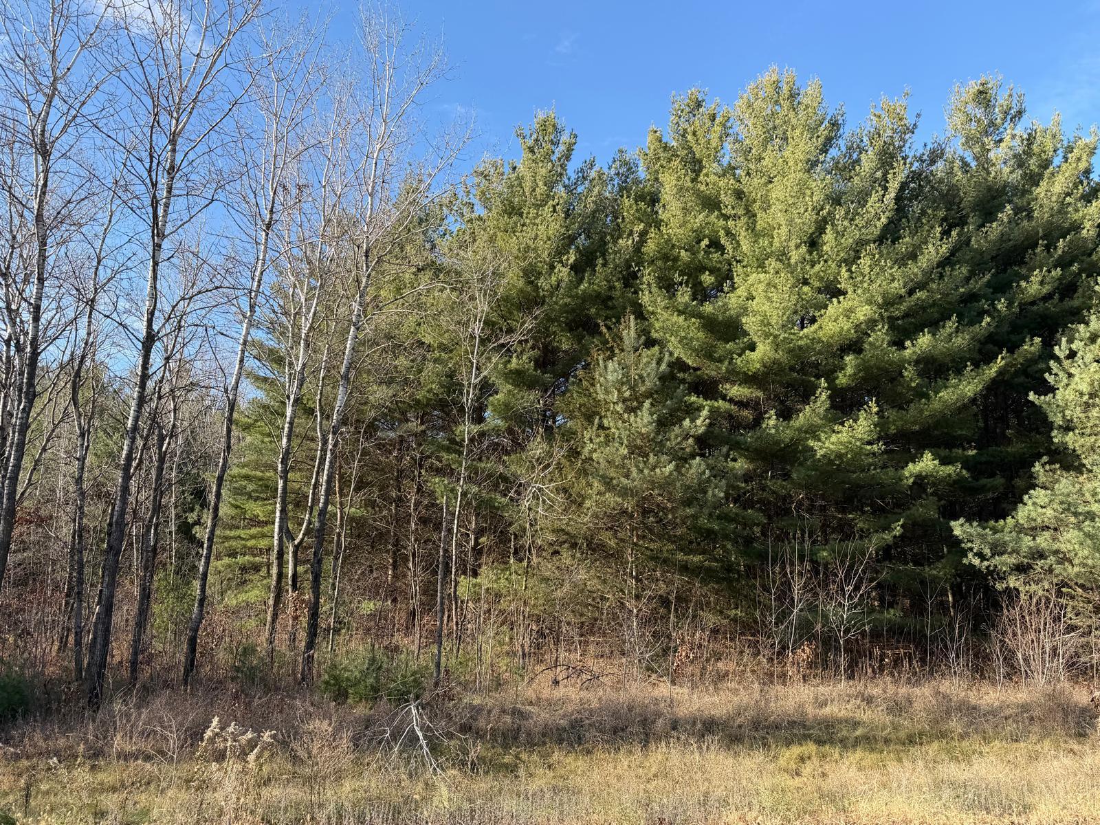Property photo for L10,Blk1 177th Street NW, Big Lake, MN 55309