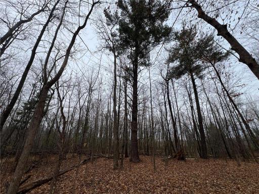 000 Maple Knoll Rd, Pine City, MN 55063