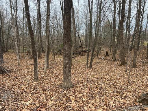 000 Maple Knoll Rd, Pine City, MN 55063