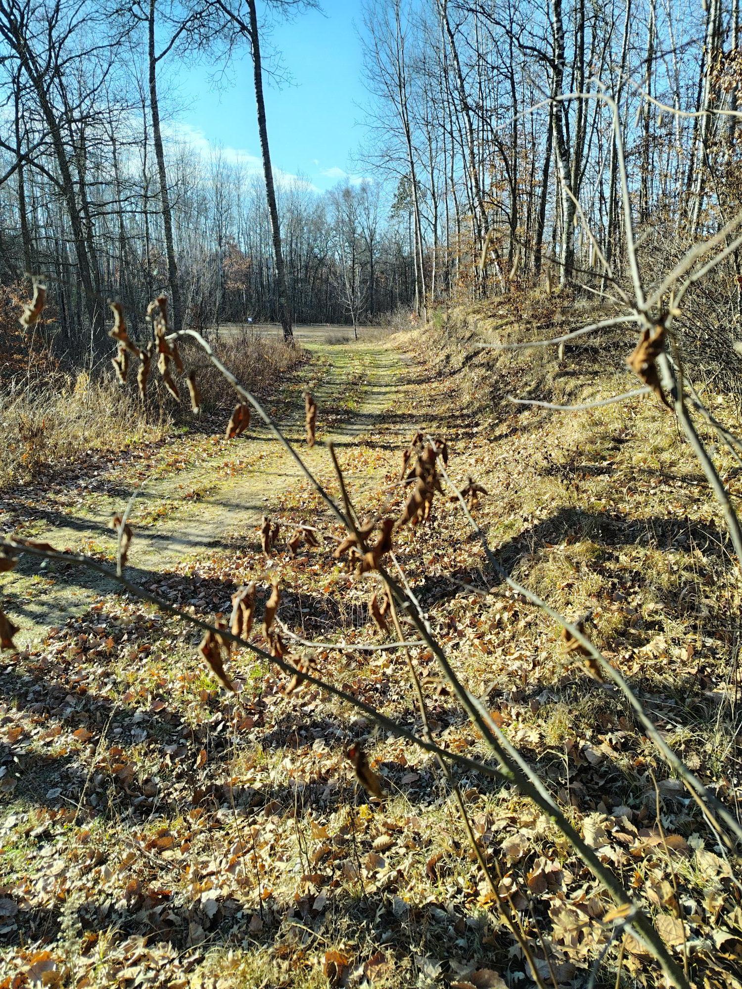 IMG_20251115_101849_HDR.jpg