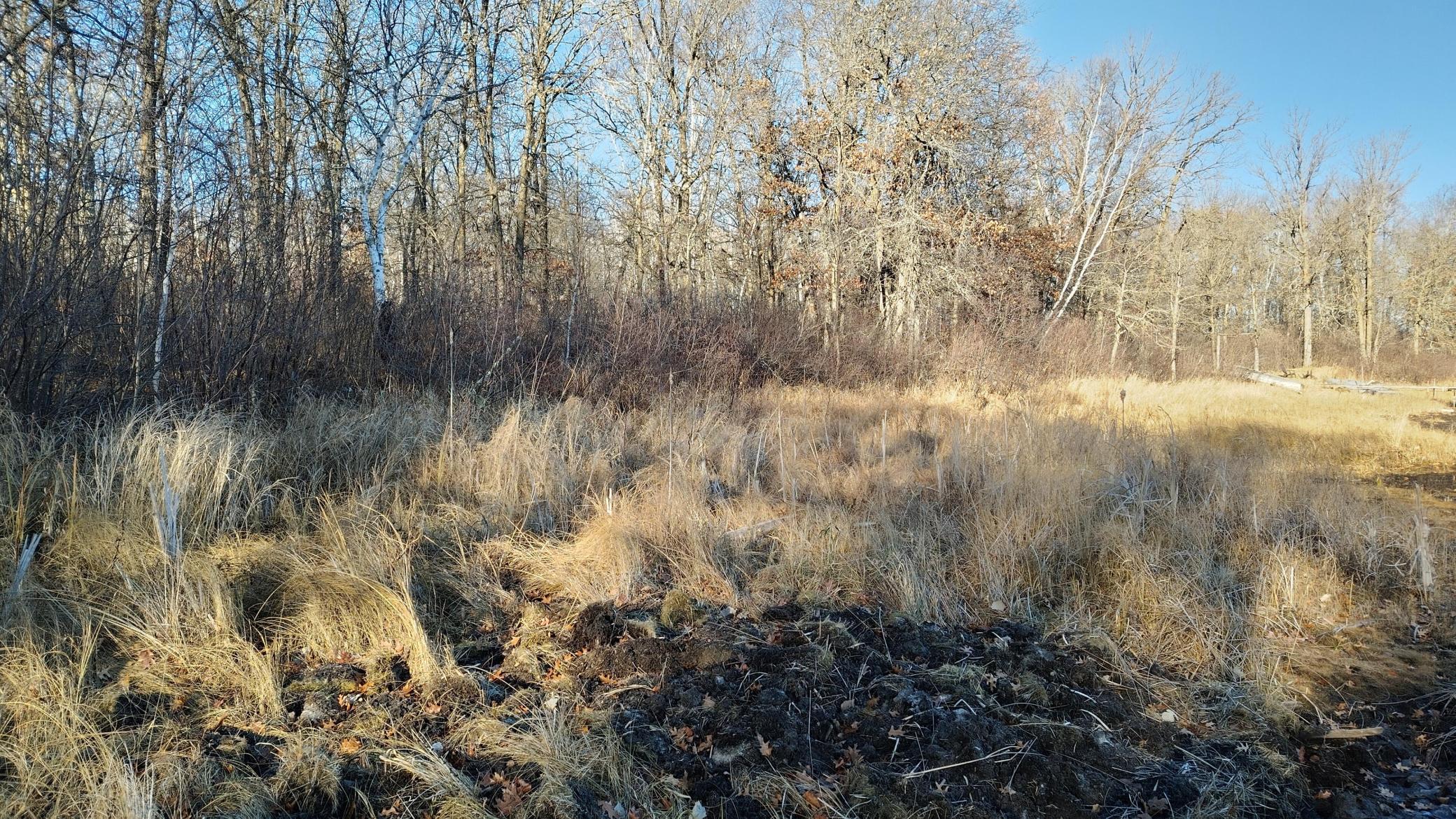 IMG_20251115_095239_HDR.jpg