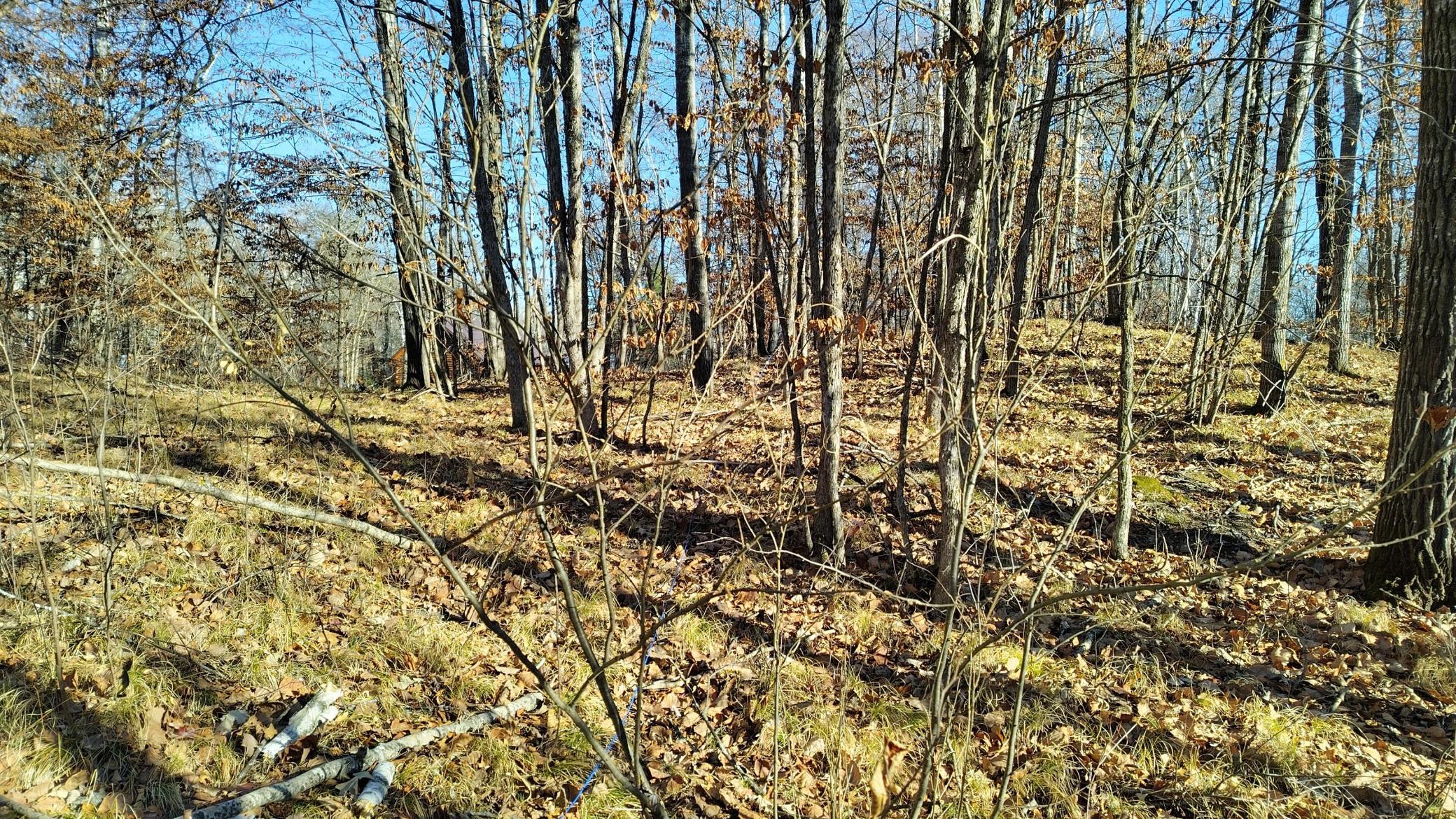 IMG_20251115_101057_HDR.jpg