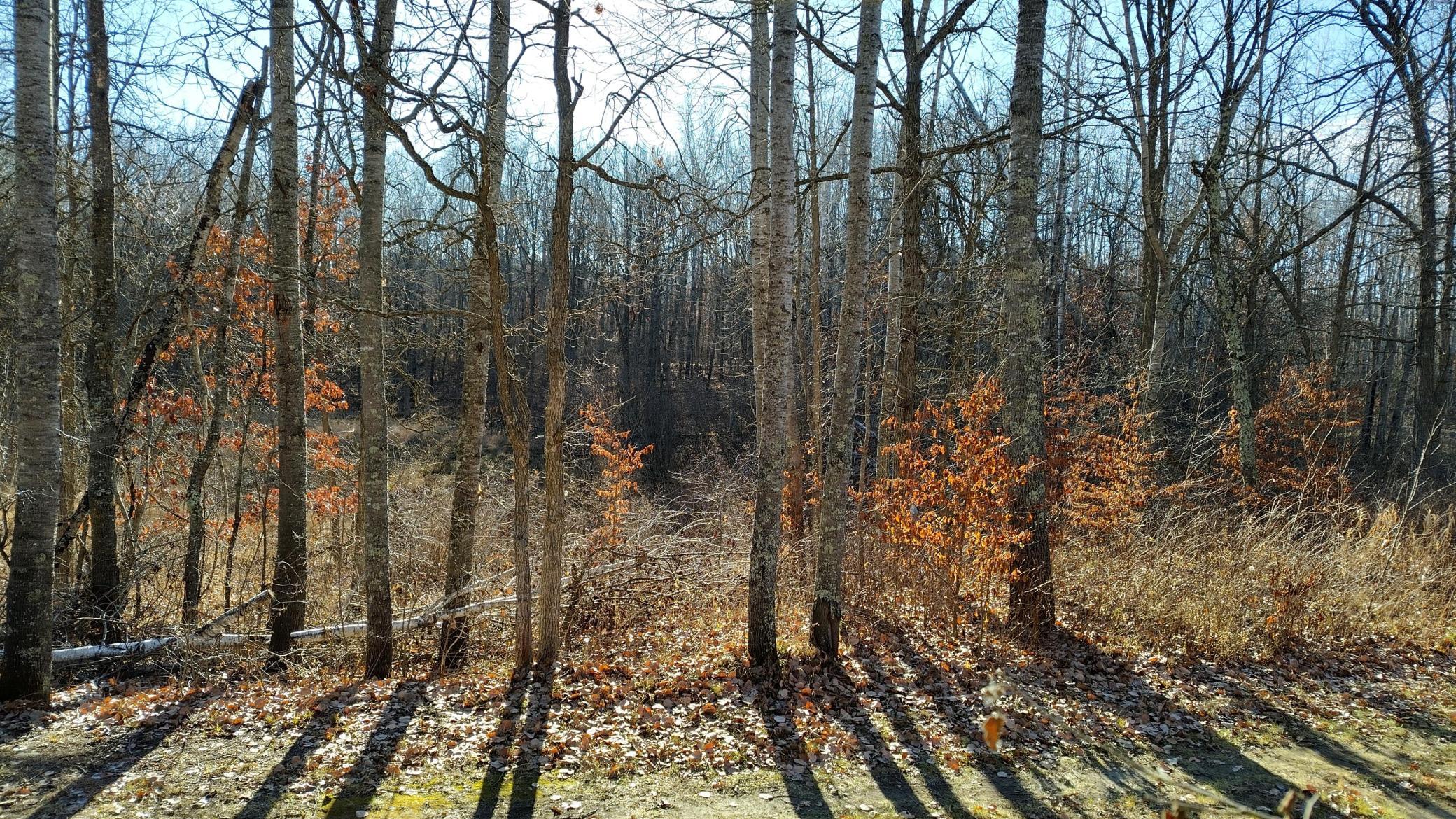 IMG_20251115_101922_HDR.jpg