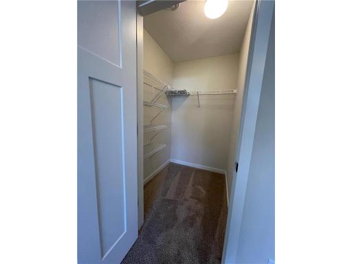Primary Walk-in Closet (*not exact home pictured. Photos depict similar home following the Princeton B plan).