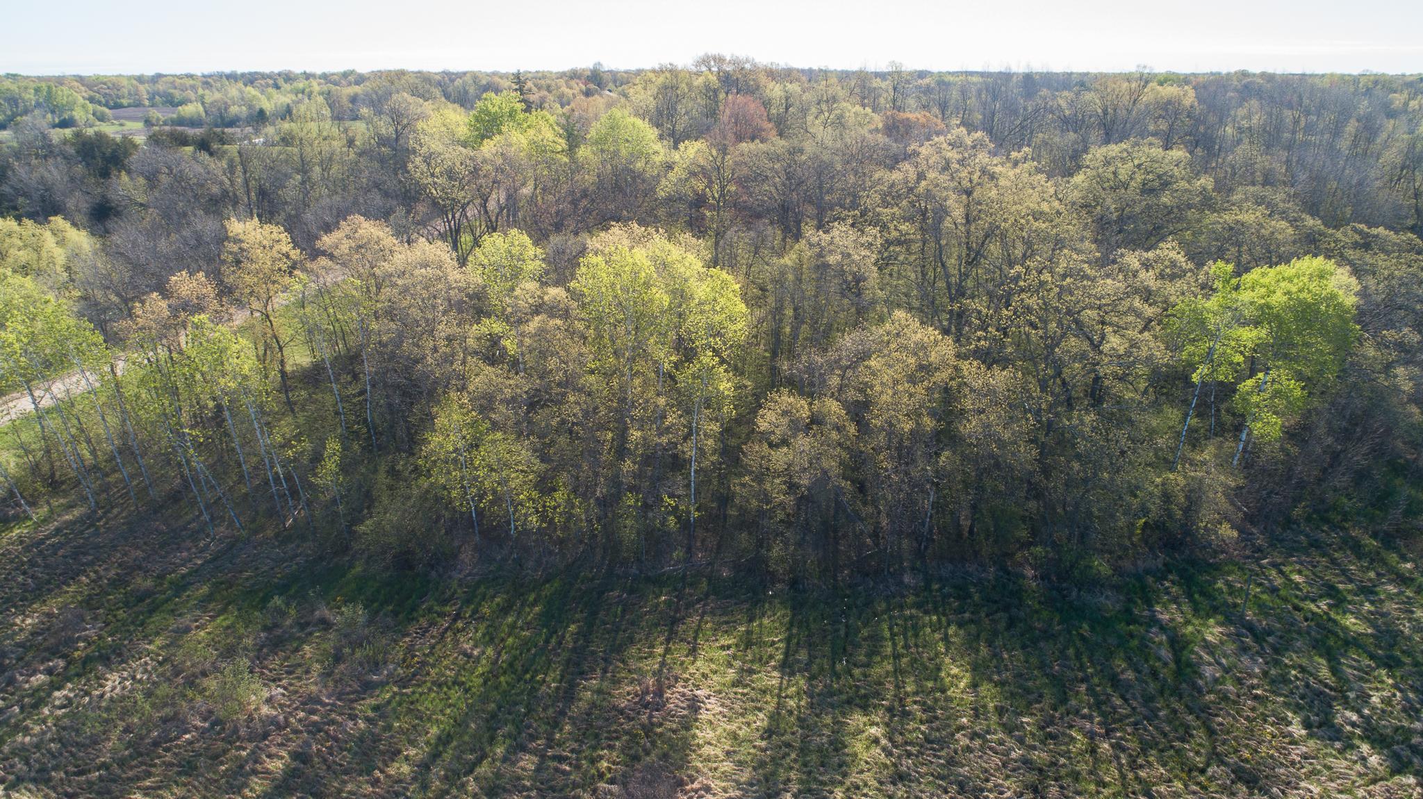 DJI_0283.jpg
