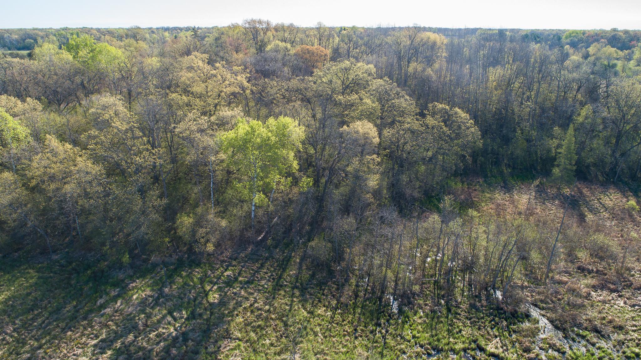 DJI_0282.jpg