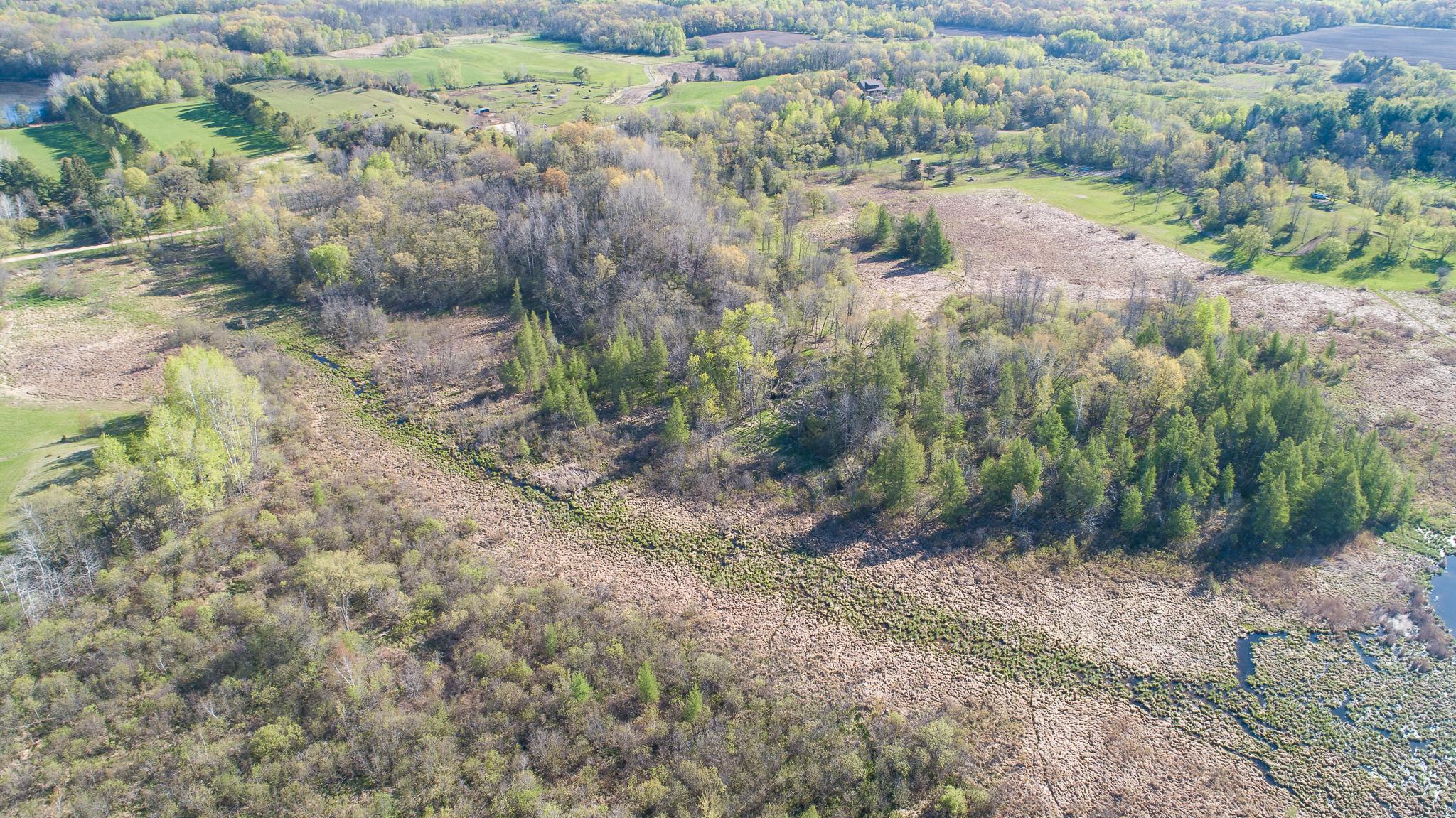 DJI_0275.jpg
