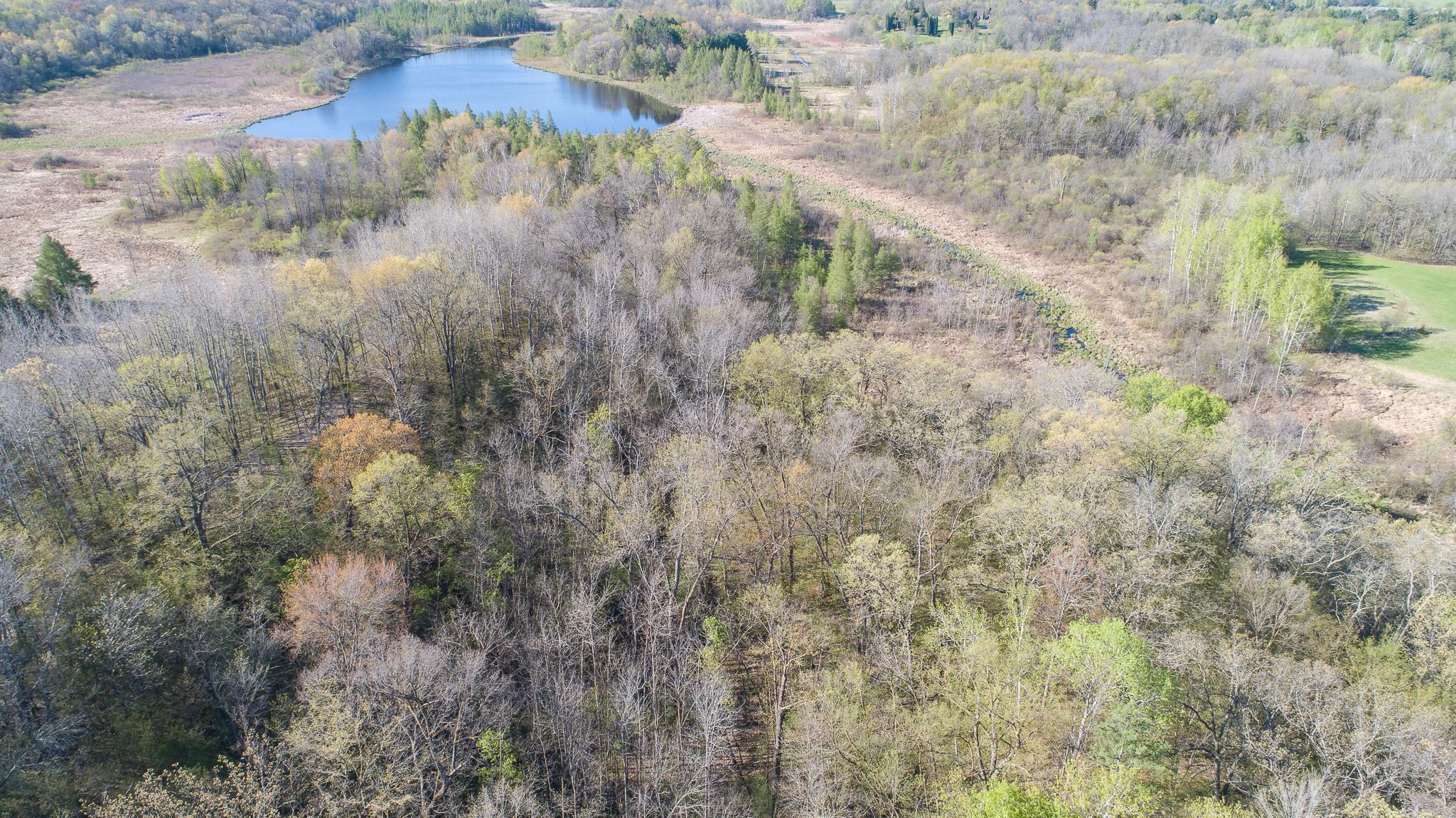 DJI_0290.jpg