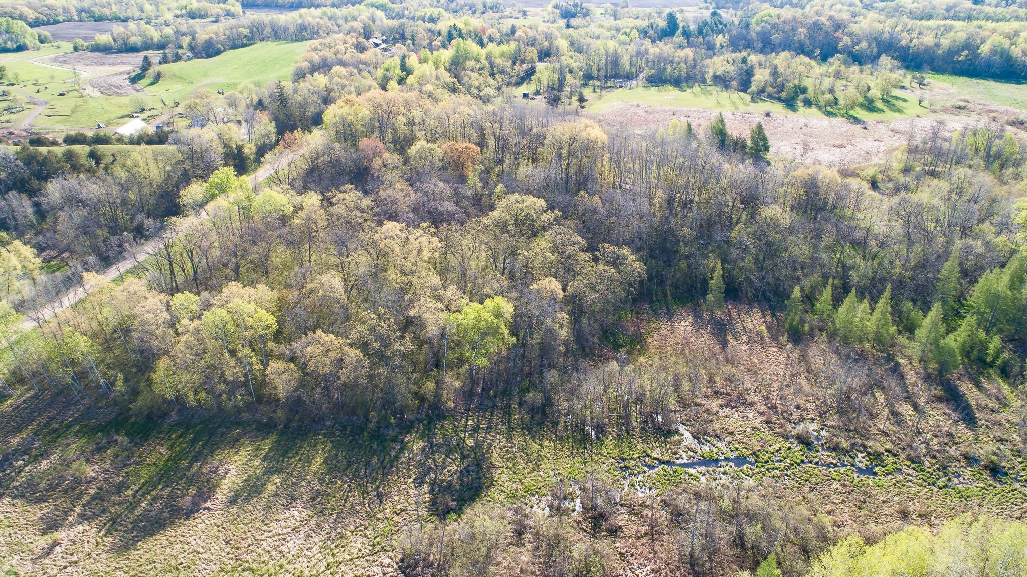 DJI_0279.jpg