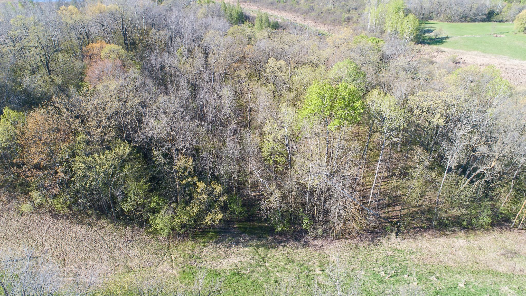 DJI_0288.jpg