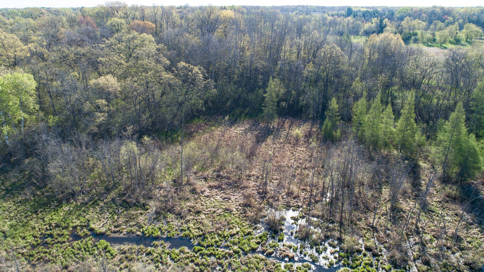 DJI_0281.jpg