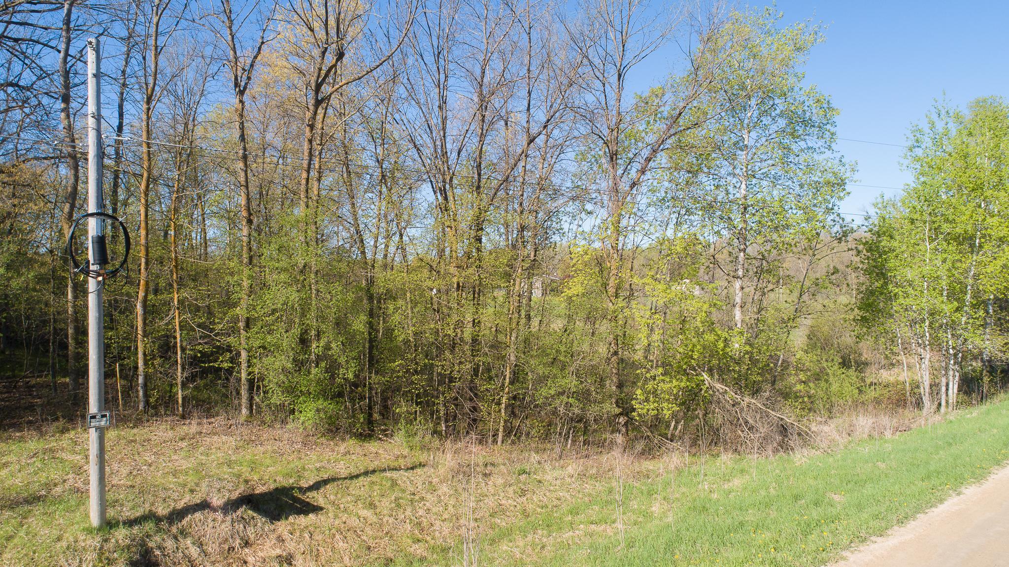 DJI_0293.jpg