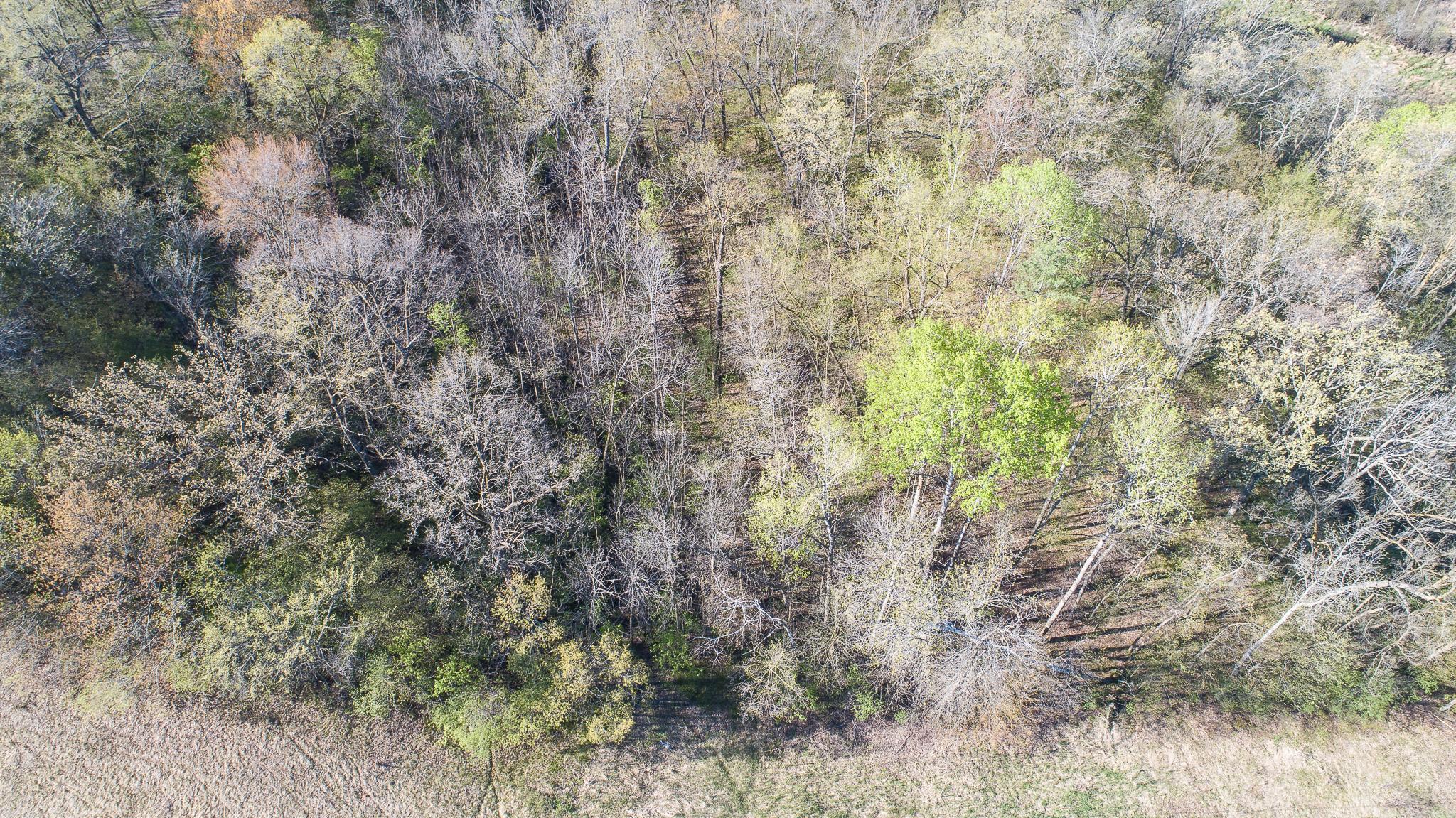 DJI_0289.jpg