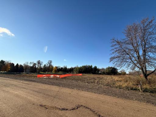 TBD Alivias Avenue, Pelican Rapids, MN 56572