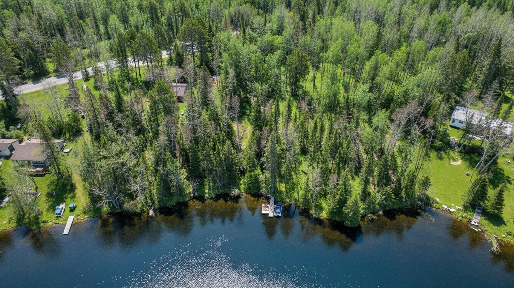 XXXX Bass Lake Rd aerial 10 AI Summer.jpg