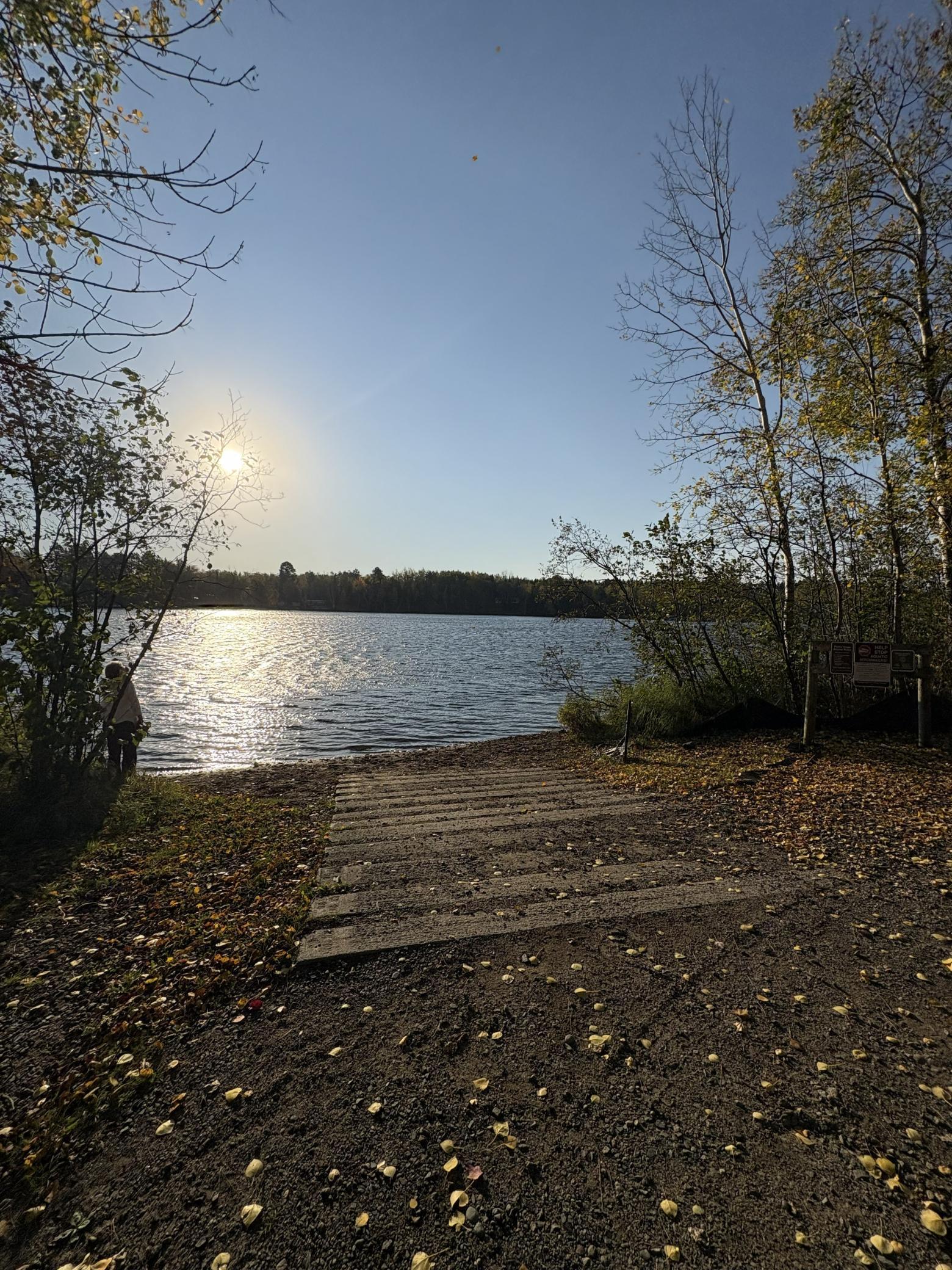 Bass Lake Road shoreline.jpg