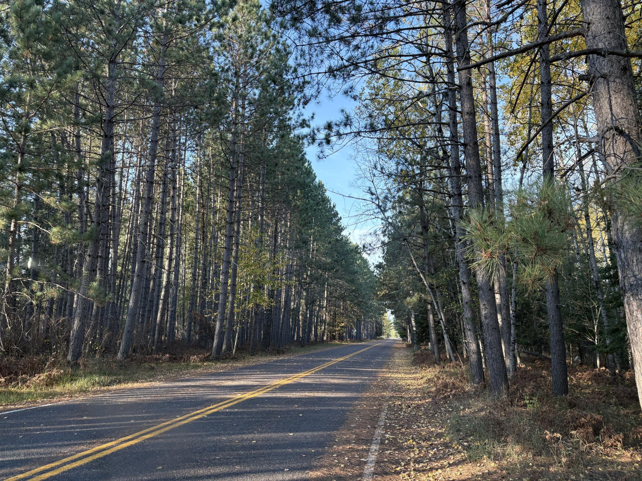 Bass Lake Road street.jpg