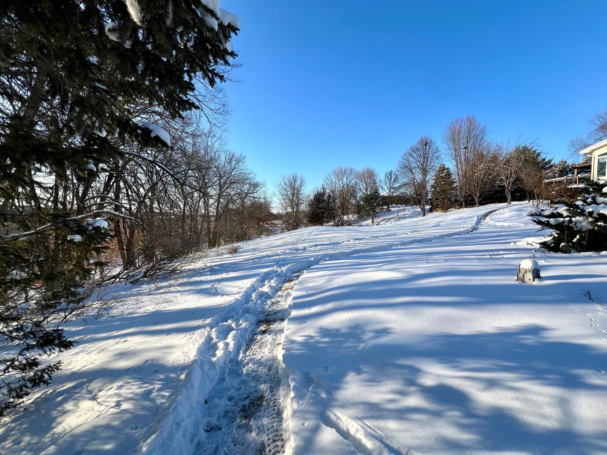 Winter trails at the back of the property