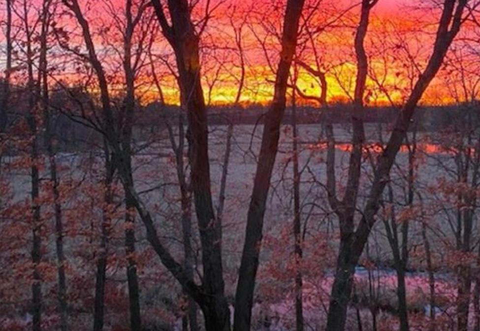 Sunset over the pond