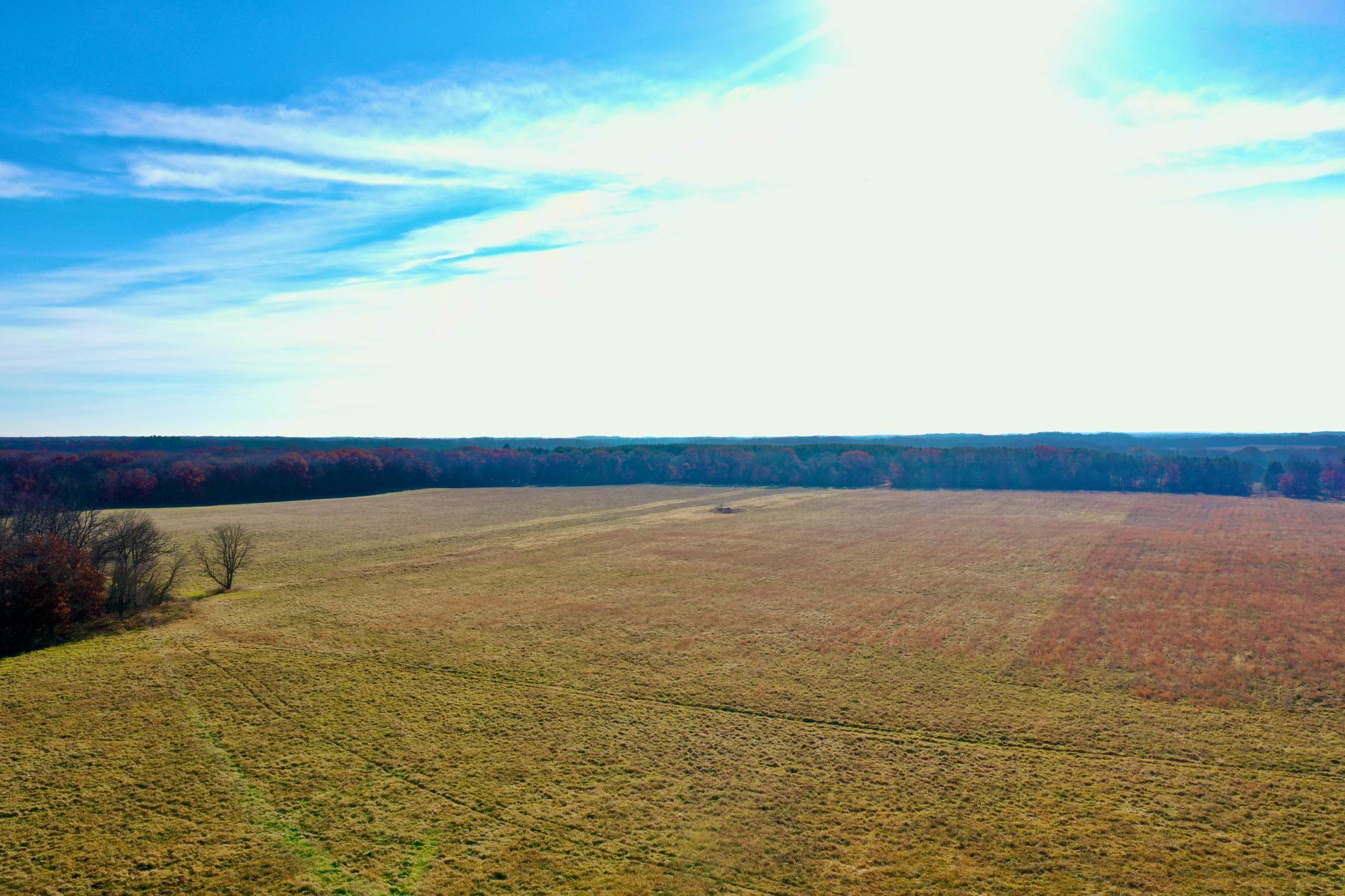 DJI_0132.JPG