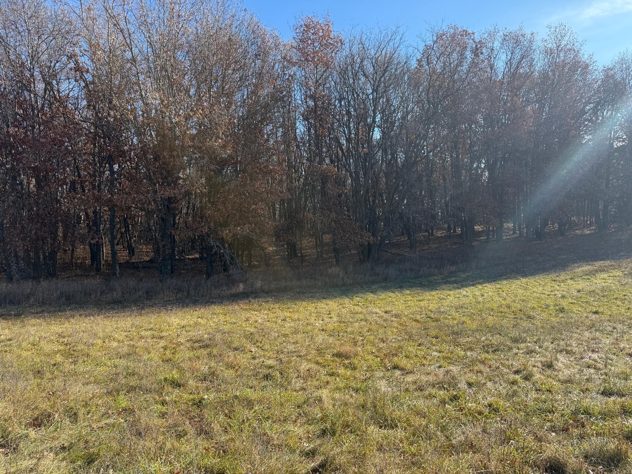 IMG_4678.jpeg
