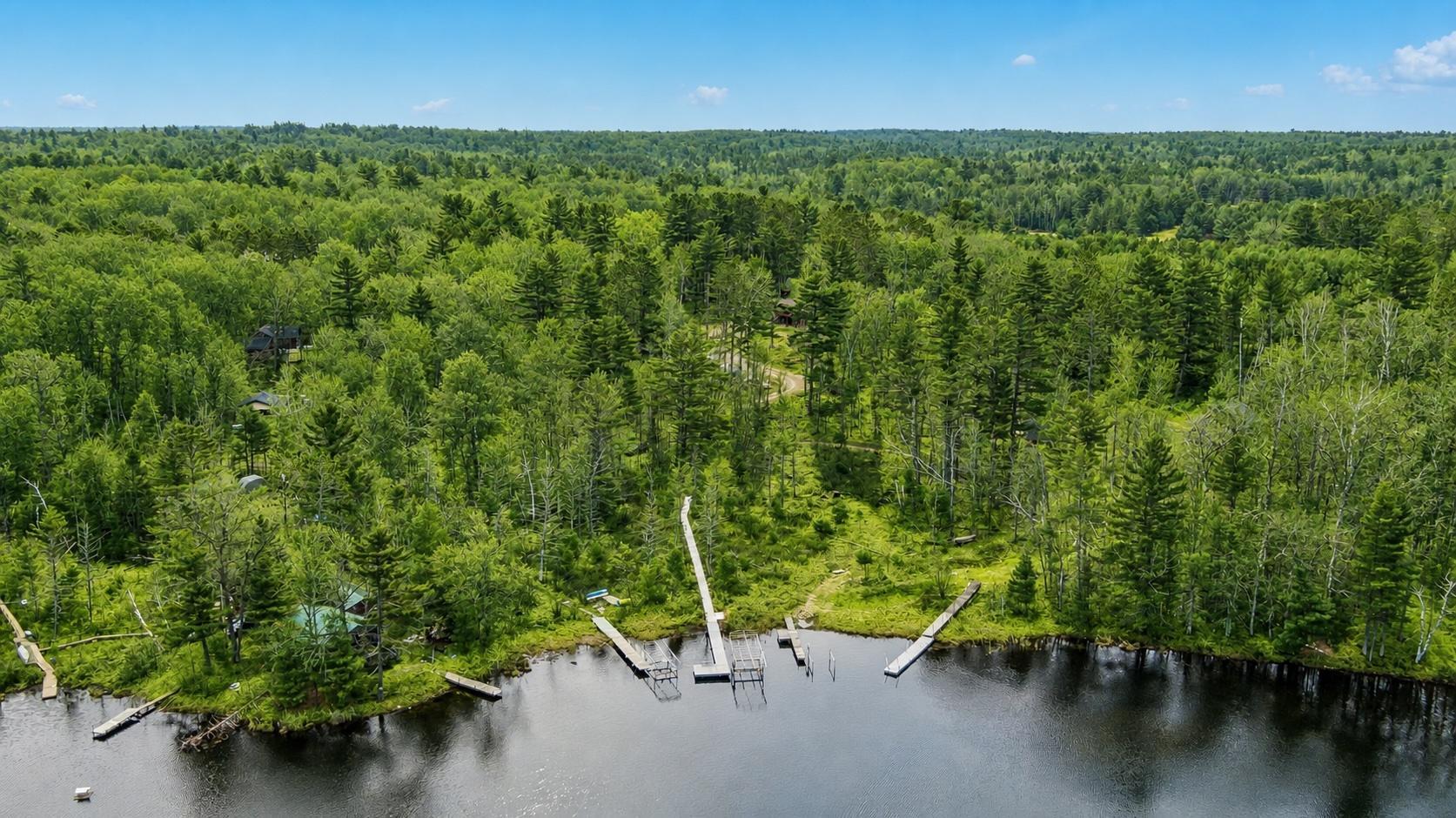 snowy owl.jpg