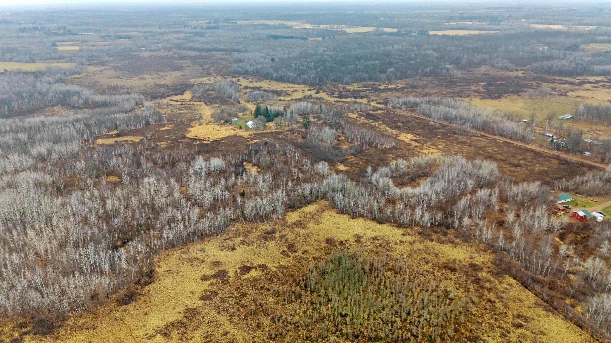 Looking from East of the property, the tamarack forest in the lower part of the picture, surrounded by wetland, with acres of woods and high ground to the west.