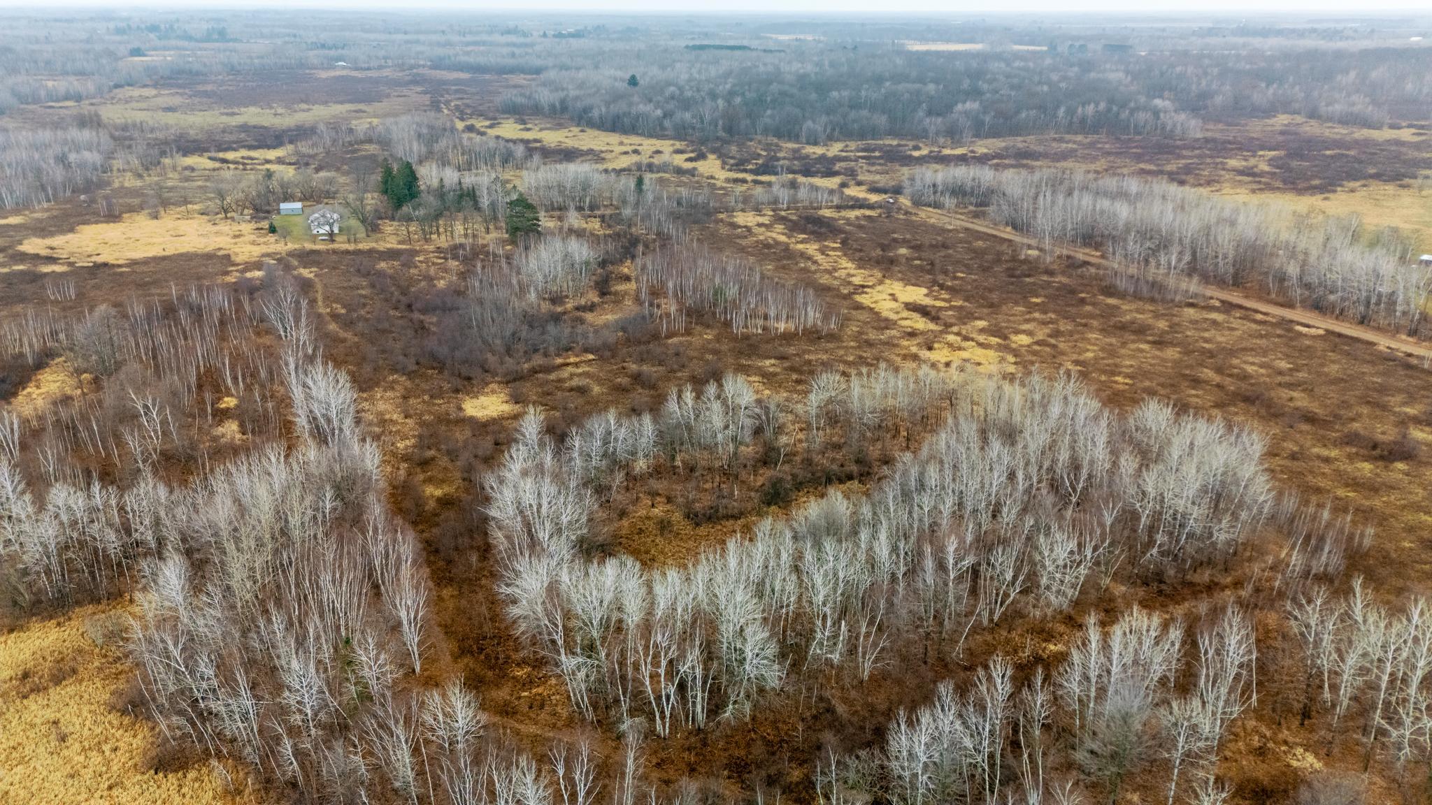 Looking from NE of property, the woods with the clearing on on the 22 acres, and the property line to the east goes into the wetland/tamarack woods.