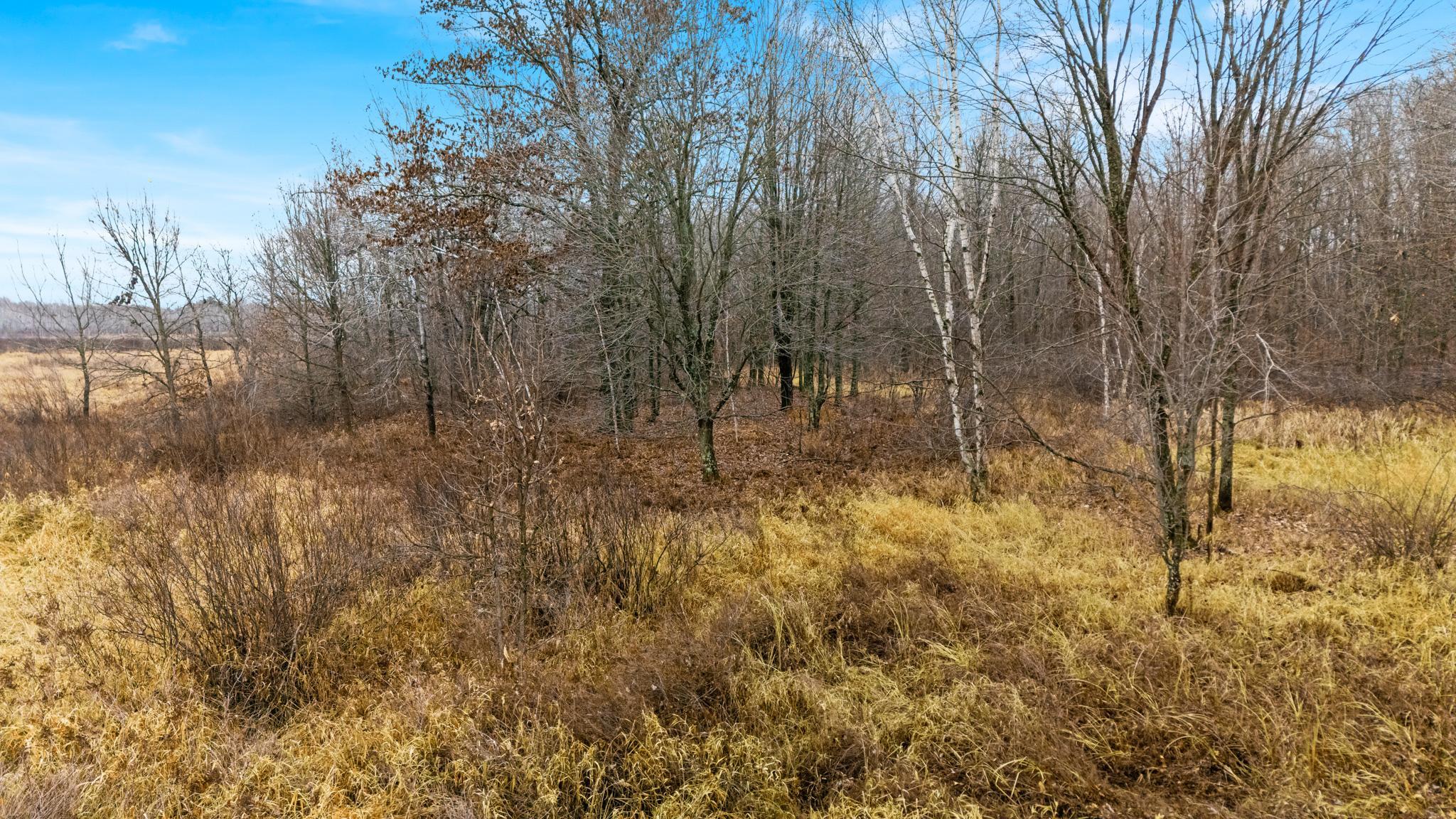 A wooded area near the back of the dry land on Parcel C