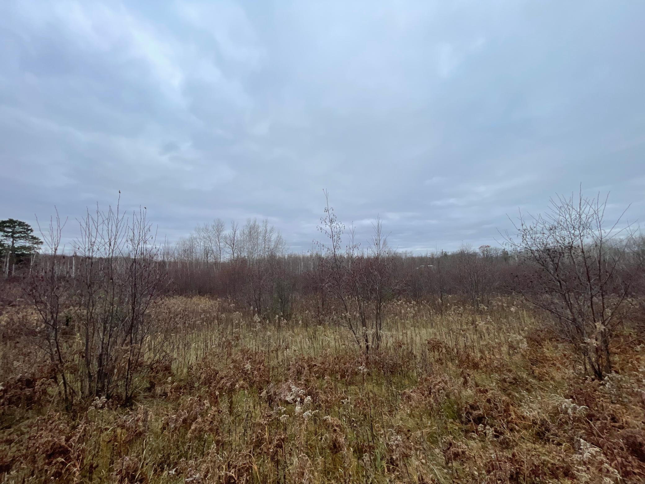 Large open pasture area