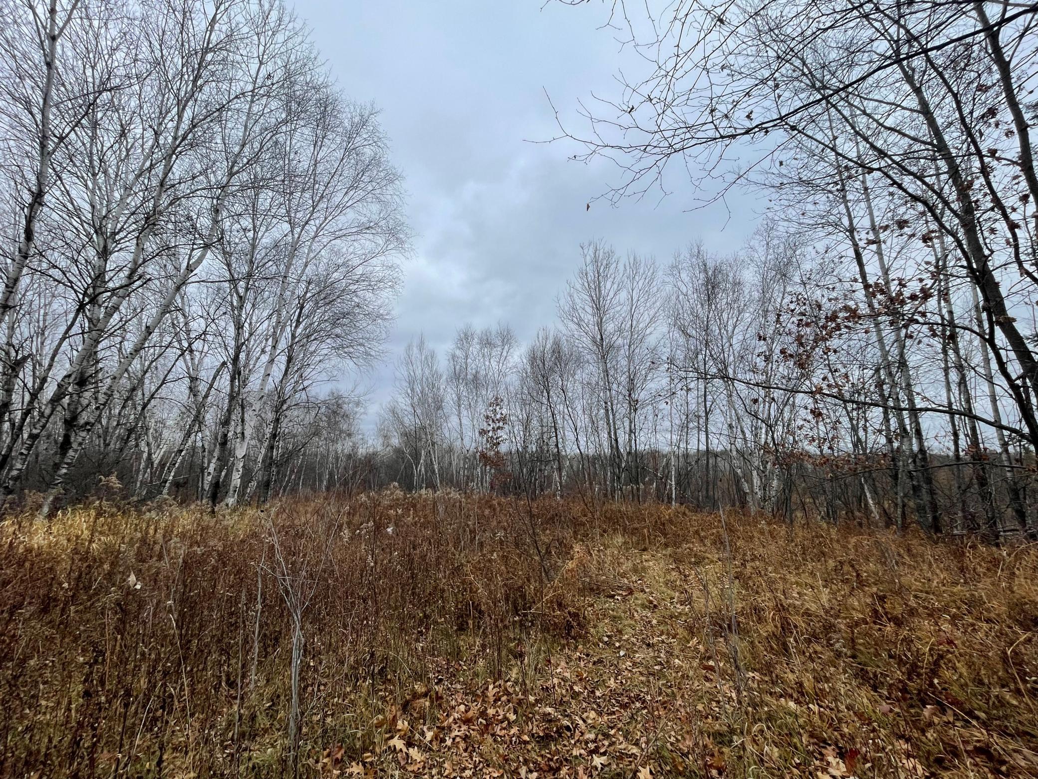 Hill before wetlands