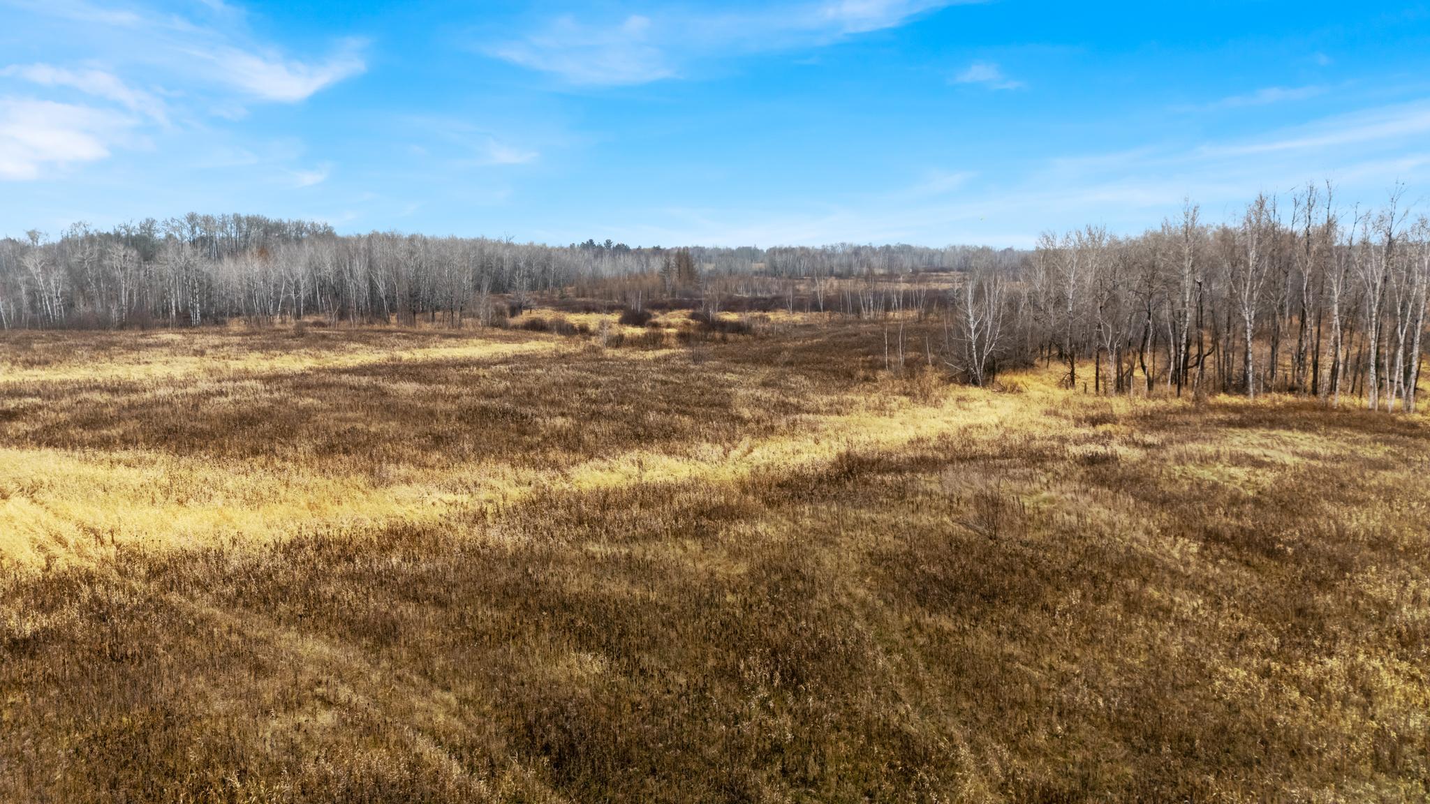 47540-OlsonRoad-DONE-06.jpg