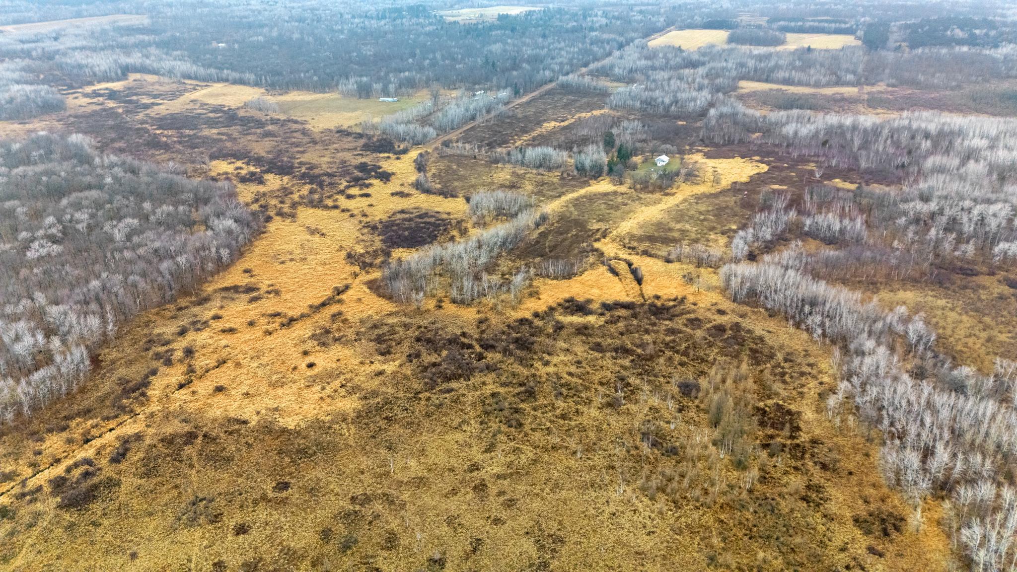 Looking NNW over 45 acres toward Olson Rd.