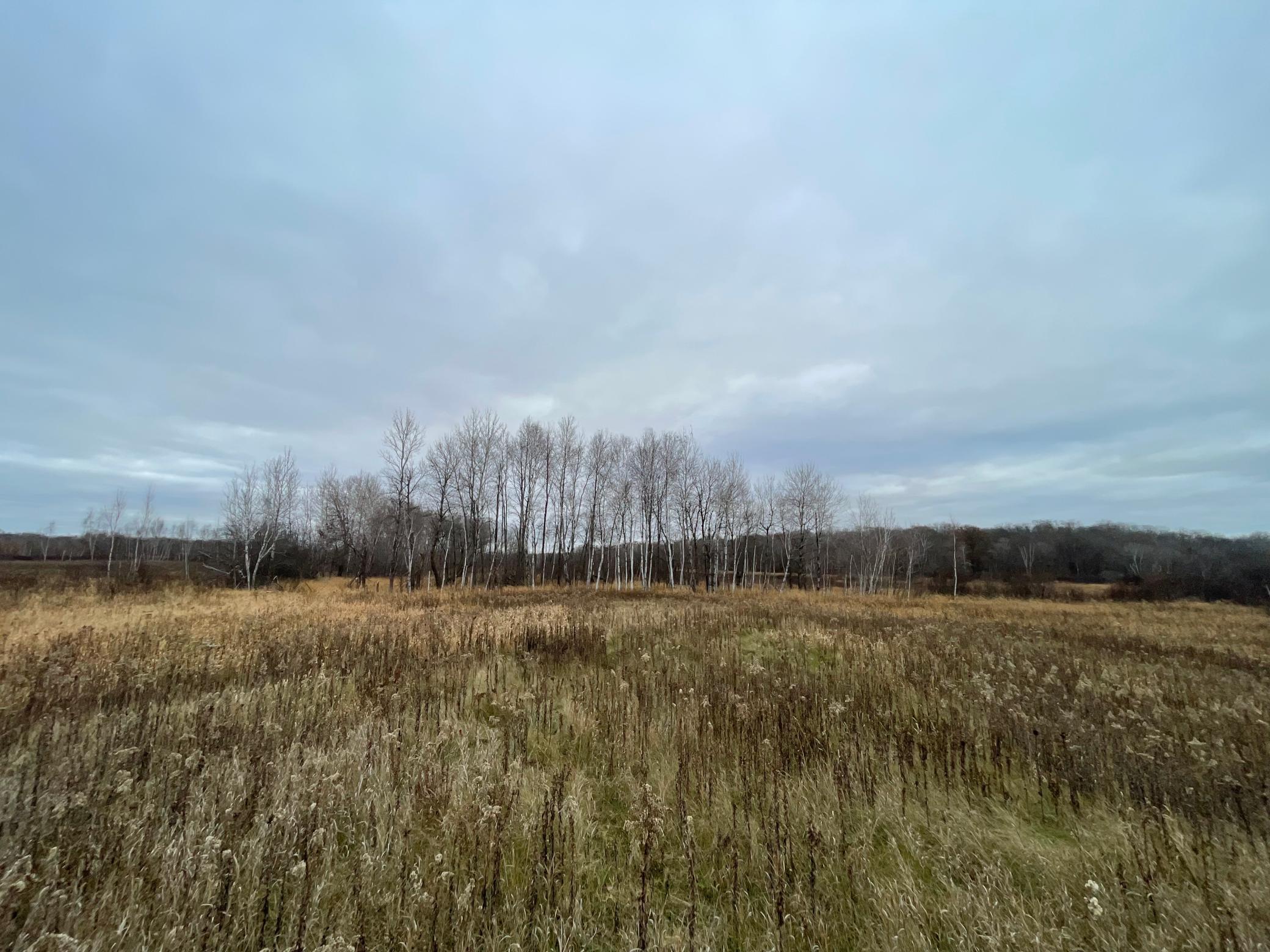 Lots of pasture area, with woods.