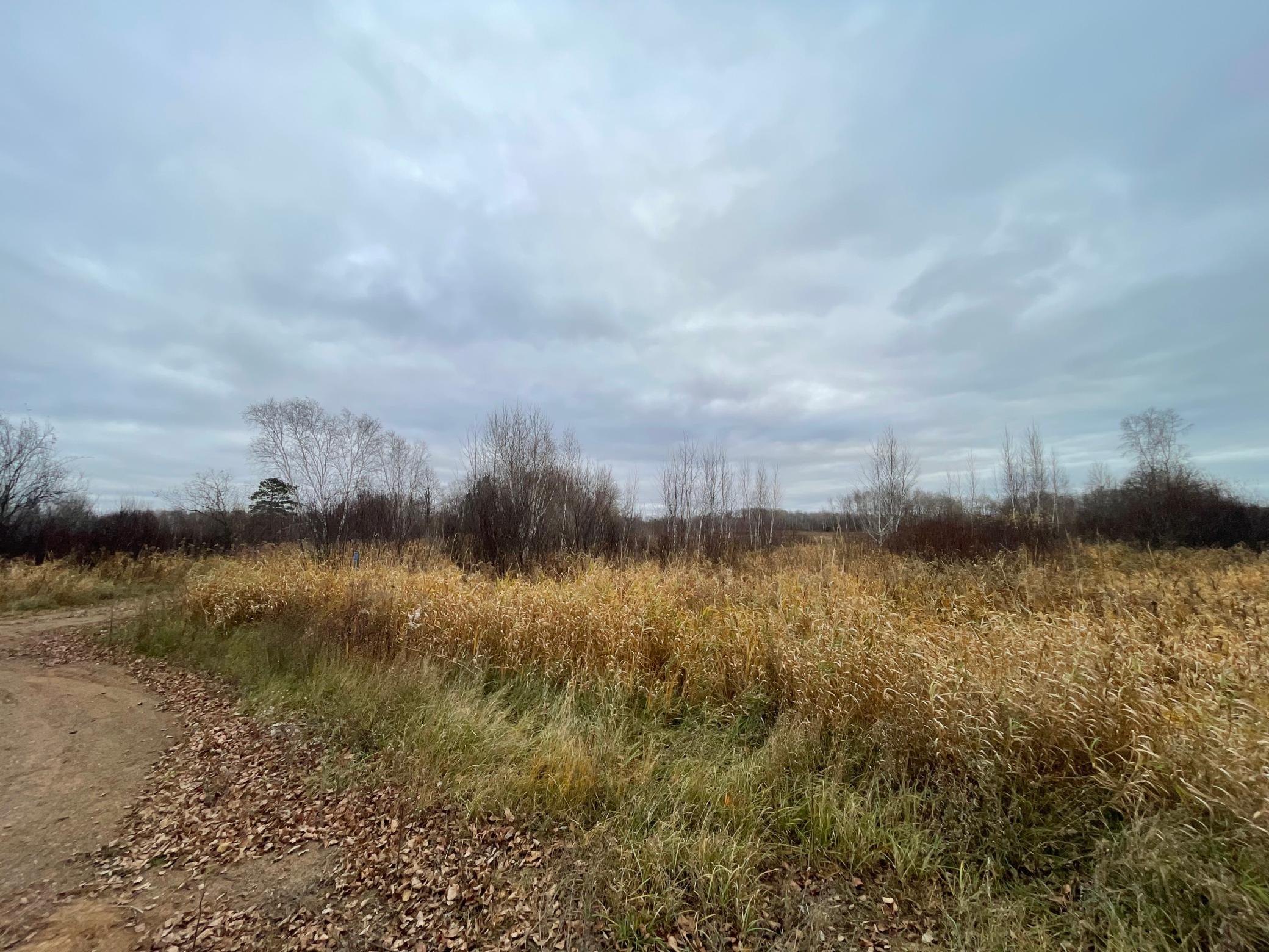 View from Road