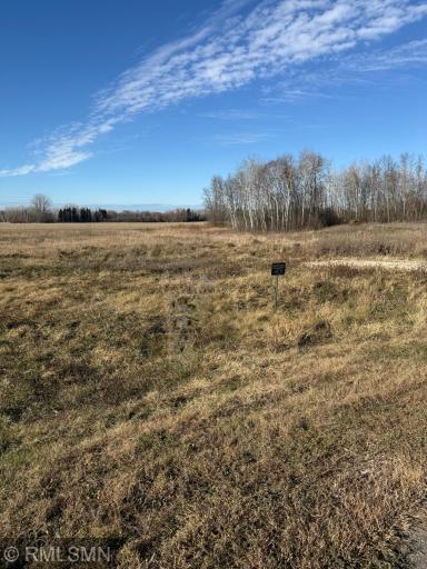 509 Northern Meadows Lane, Sartell, MN 56377