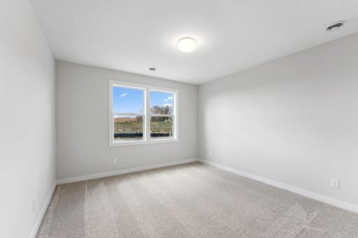 Lower Level Bedroom.